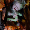 FOREST FANTASY REBORN BABY