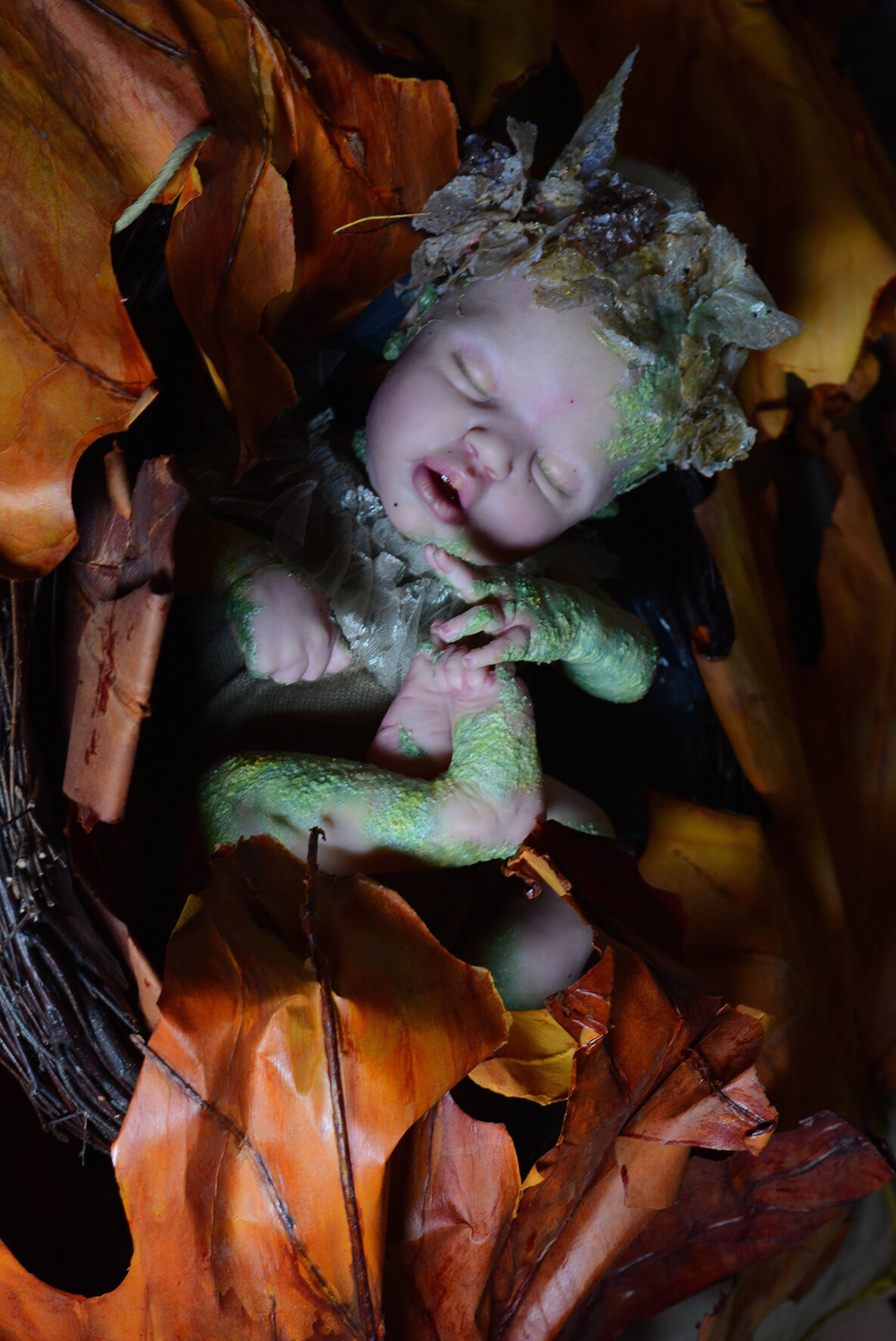 FOREST FANTASY REBORN BABY