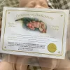 Sleeping Presley Silicone Kit