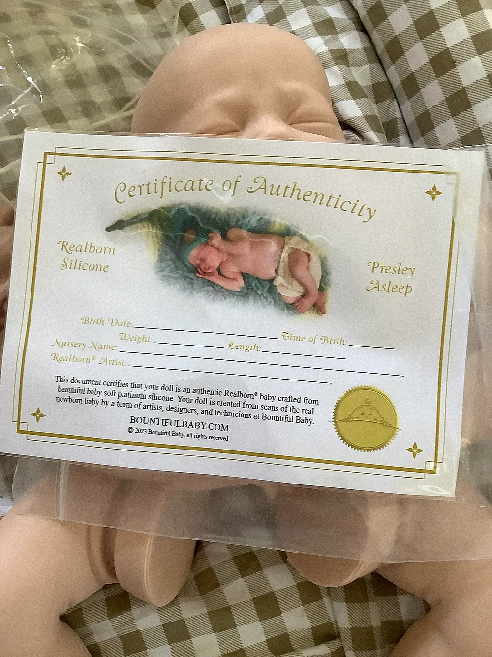 Sleeping Presley Silicone Kit