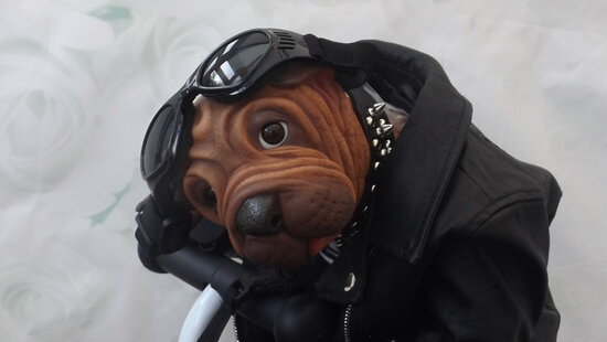 Huckleberry reborn Sharpei dog