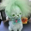 Pickles Puppy Vinyl doll
