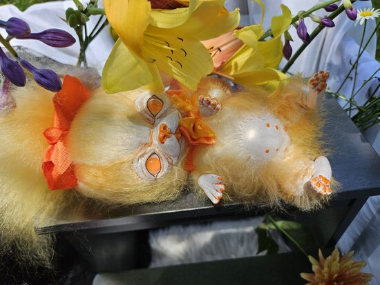 image_3 (9)