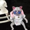 image_5 (17)