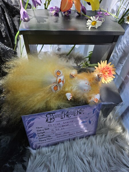 image_8 (11)